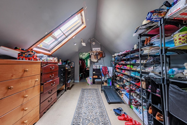 2807 S Spaulding Ave, Chicago, IL 60623 - walk in closet featuring a skylight and lofted ceiling