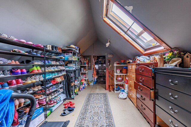 2807 S Spaulding Ave, Chicago, IL 60623 - storage area featuring a skylight