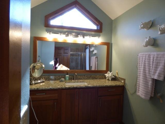 2 Tamarack Row, Galena, IL 61036 - bathroom featuring lofted ceiling, vanity, plenty of natural light, and an enclosed shower