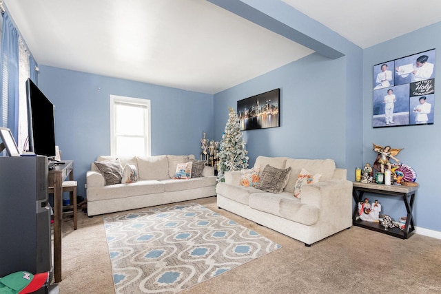 913 Otis Ave, Rockdale, IL 60436 - photo 4
