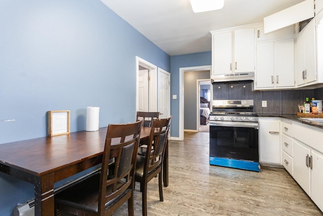 913 Otis Ave, Rockdale, IL 60436 - photo 6