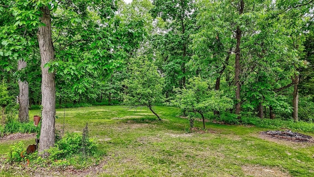 2598 N 2739th Rd, Marseilles, IL 61341 - view of green lawn