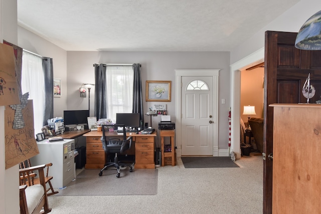 904 E Madison St, Pontiac, IL 61764 - home office featuring light carpet