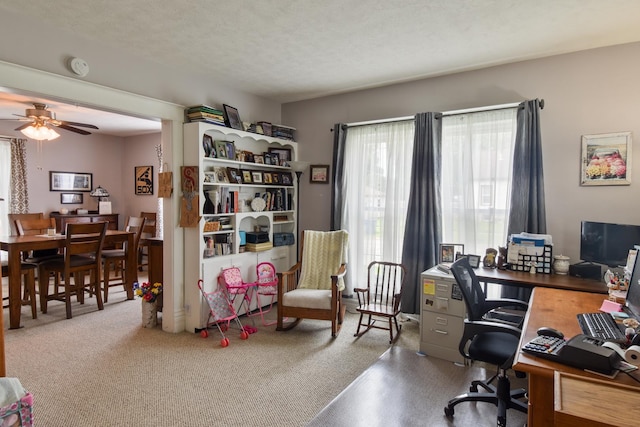904 E Madison St, Pontiac, IL 61764 - office featuring a ceiling fan and a textured ceiling