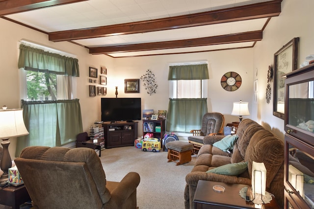 904 E Madison St, Pontiac, IL 61764 - living area with carpet flooring and beamed ceiling
