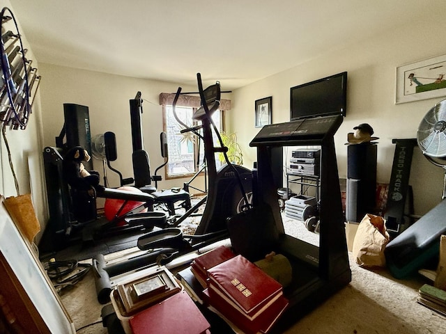 1545 Winnetka Rd Unit 1545, Glenview, IL 60025 - workout area with carpet