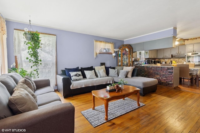611 Palace St, Aurora, IL 60506 - living room with light wood-style floors