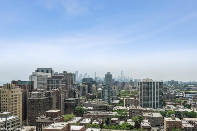 525 W Hawthorne Pl Unit 2701, Chicago, IL 60657 - skyline view