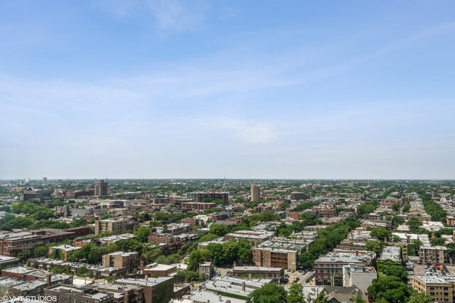 525 W Hawthorne Pl Unit 2701, Chicago, IL 60657 - view of urban area