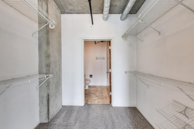 700 W Van Buren St Unit 1301, Chicago, IL 60607 - walk in closet with carpet floors
