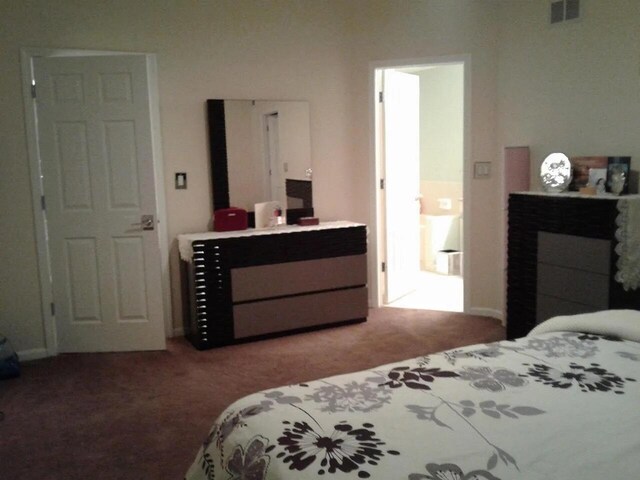 121 Chatsworth Cir, Schaumburg, IL 60194 - view of carpeted bedroom