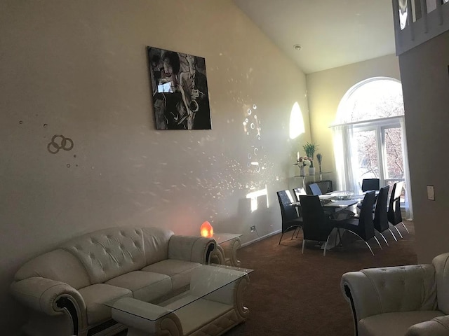 121 Chatsworth Cir, Schaumburg, IL 60194 - carpeted living area with high vaulted ceiling