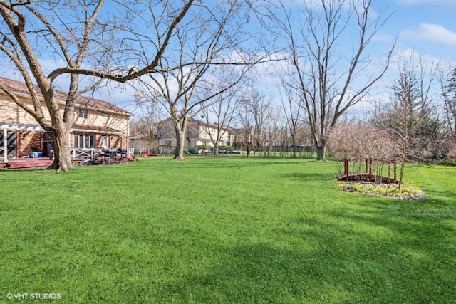 20832 Sparta Ln, Olympia Fields, IL 60461 - view of green lawn