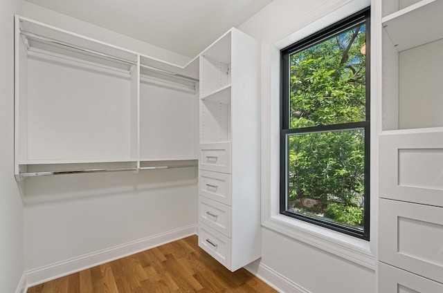 4102 W Eddy St, Chicago, IL 60641 - walk in closet featuring wood finished floors