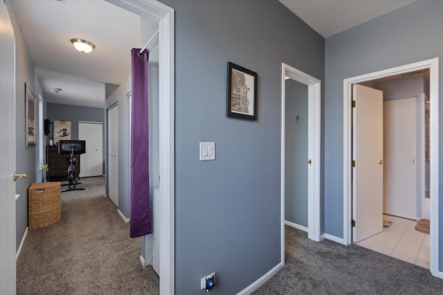 3713 Grand Blvd Unit 10, Brookfield, IL 60513 - corridor with carpet flooring and baseboards