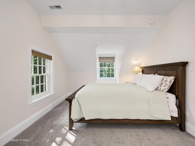 1360 Turvey Rd, Downers Grove, IL 60515 - bedroom featuring multiple windows, carpet floors, and vaulted ceiling