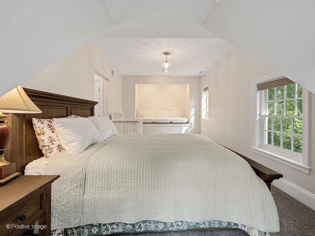 1360 Turvey Rd, Downers Grove, IL 60515 - bedroom with baseboards and carpet flooring