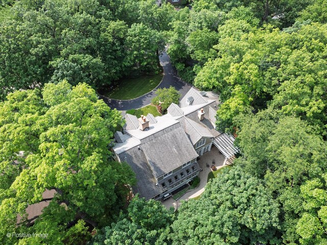1360 Turvey Rd, Downers Grove, IL 60515 - view from above of property featuring a heavily wooded area