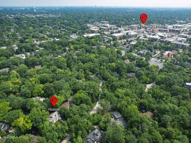 1360 Turvey Rd, Downers Grove, IL 60515 - aerial view of a heavily wooded area