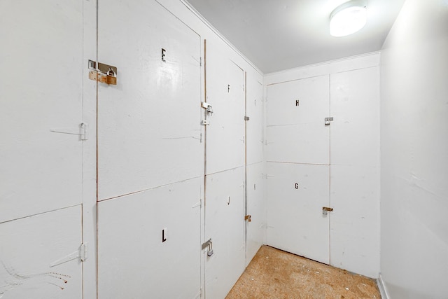 7830 W N Ave Unit 306, Elmwood Park, IL 60707 - view of hallway