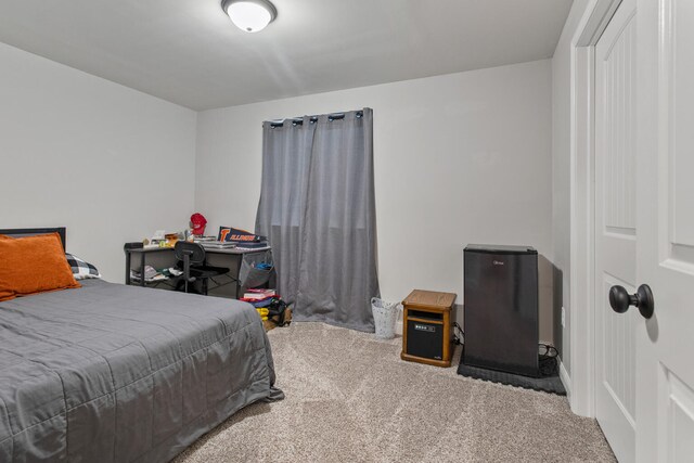 1607 Peppermill Ln, Champaign, IL 61822 - view of carpeted bedroom