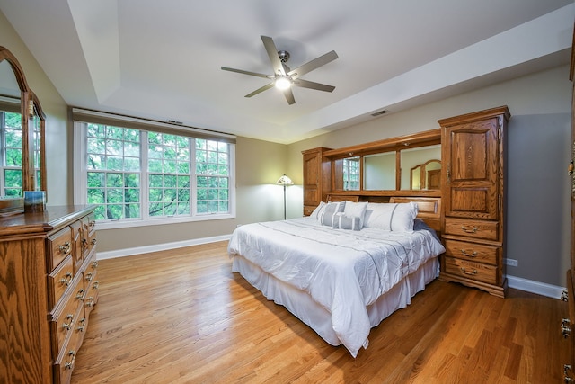 17 Virginia Pkwy, Schaumburg, IL 60193 - bedroom with a raised ceiling, light wood-style floors, baseboards, and multiple windows