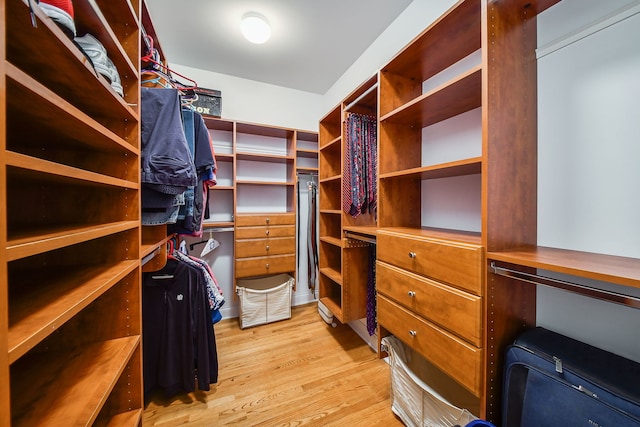 17 Virginia Pkwy, Schaumburg, IL 60193 - walk in closet featuring light wood finished floors