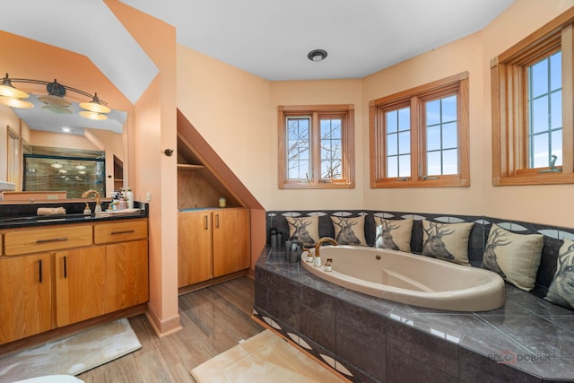 20719 Highview Rd, Marengo, IL 60152 - bathroom with vanity, a bath, a shower stall, and wood finished floors