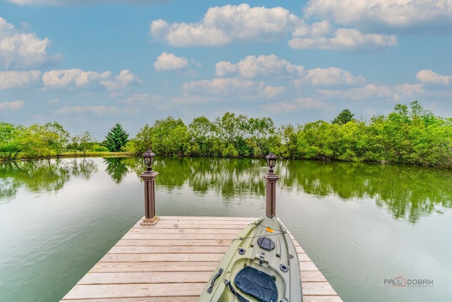 20719 Highview Rd, Marengo, IL 60152 - dock featuring a water view