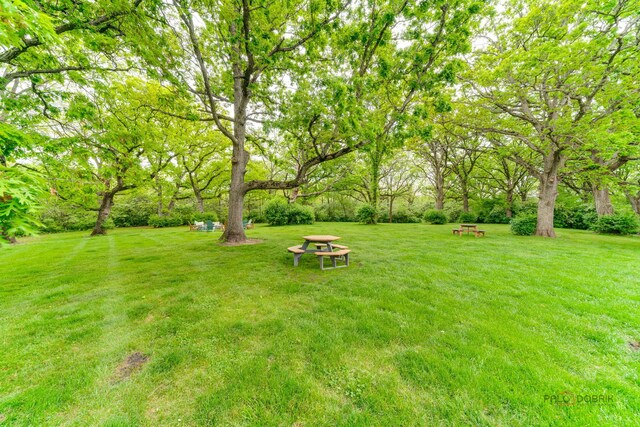 20719 Highview Rd, Marengo, IL 60152 - view of grassy yard