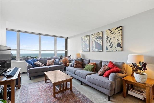 655 W Irving Park Rd Unit 4212, Chicago, IL 60613 - view of living room
