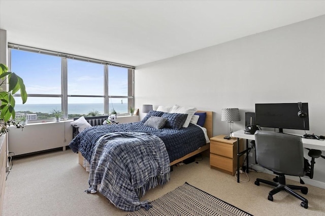 655 W Irving Park Rd Unit 4212, Chicago, IL 60613 - bedroom with a water view, carpet, multiple windows, and a desk