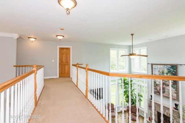 316 Juliana Ln, Bloomingdale, IL 60108 - hall featuring light carpet and baseboards