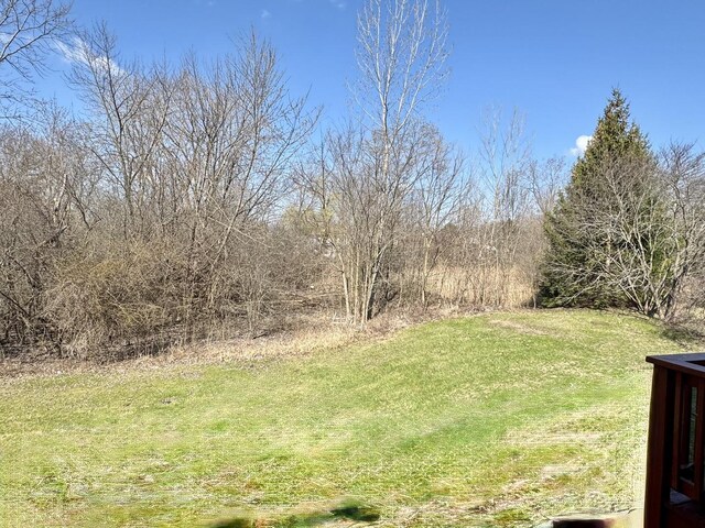 316 Juliana Ln, Bloomingdale, IL 60108 - view of grassy yard