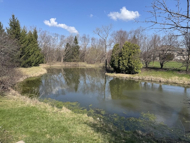 316 Juliana Ln, Bloomingdale, IL 60108 - water view