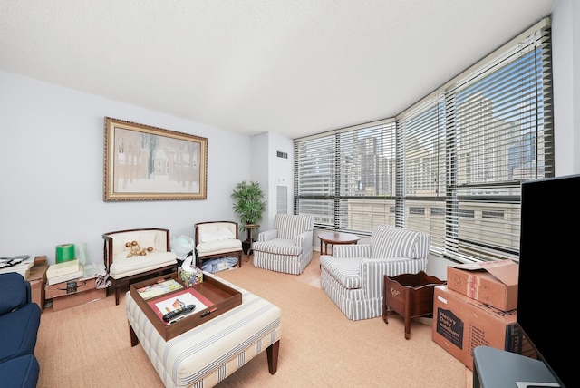 405 N Wabash Ave Unit 502, Chicago, IL 60611 - living room with carpet