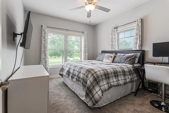1604 Kassen Ave, Mahomet, IL 61853 - photo 33