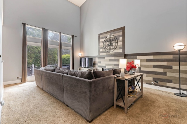 300 Knox Park Rd, Lake Zurich, IL 60047 - carpeted living area featuring a towering ceiling