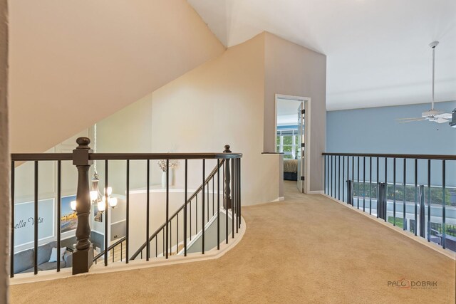 300 Knox Park Rd, Lake Zurich, IL 60047 - corridor featuring carpet floors and an upstairs landing