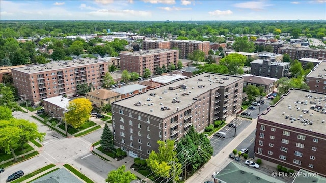 1327 Brown St Unit 206, Des Plaines, IL 60016 - view of urban area