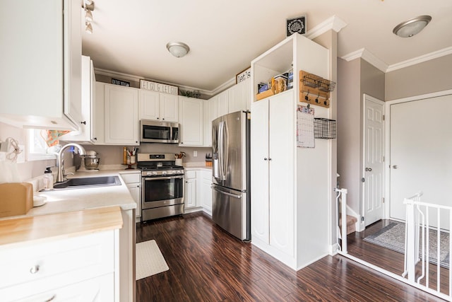 86 E Hummingbird Ave, Cortland, IL 60112 - kitchen with appliances with stainless steel finishes, a sink, crown molding, light countertops, and dark wood-style floors