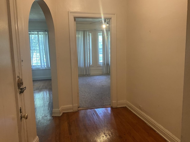 6832 S S Shore Dr Unit 1, Chicago, IL 60649 - corridor featuring hardwood / wood-style flooring and arched walkways