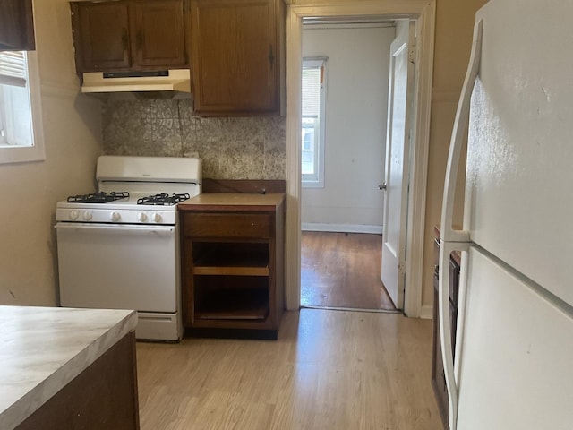 6832 S S Shore Dr Unit 1, Chicago, IL 60649 - kitchen with white appliances, under cabinet range hood, light wood finished floors, decorative backsplash, and light countertops