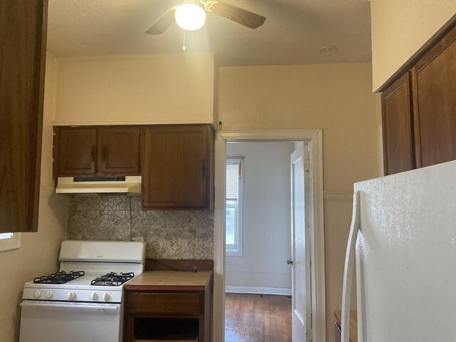 6832 S S Shore Dr Unit 1, Chicago, IL 60649 - kitchen featuring white appliances, under cabinet range hood, wood finished floors, decorative backsplash, and ceiling fan