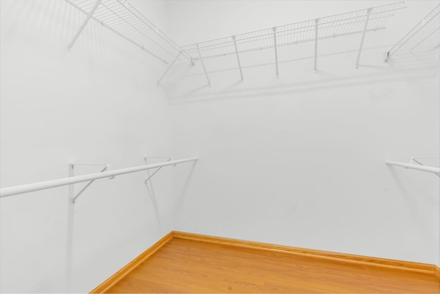 11104 Karen Dr, Orland Park, IL 60467 - walk in closet with light wood-style flooring