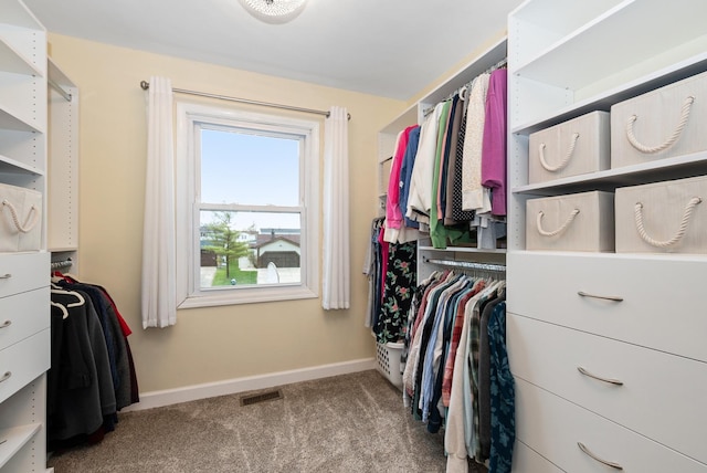 8048 W Magnolia Dr, Frankfort, IL 60423 - spacious closet with carpet floors