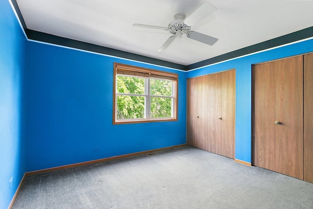 325 Indian Ridge Trl, Wauconda, IL 60084 - unfurnished bedroom with two closets, carpet floors, and baseboards