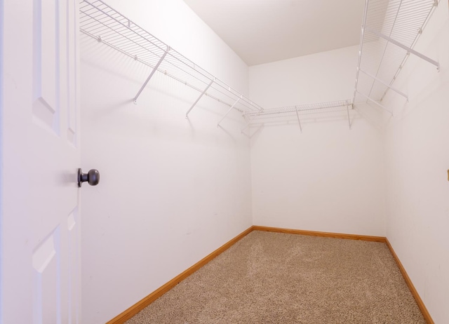 261 Springbrook Trl, Oswego, IL 60543 - spacious closet featuring light carpet
