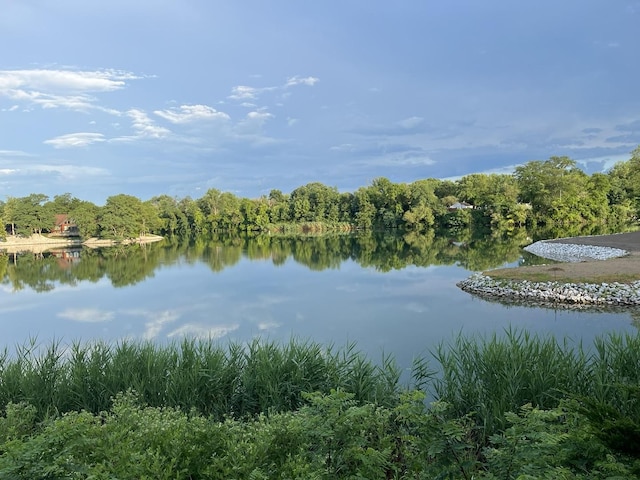 423 Mallard Pt, Danville, IL 61832 - water view with a heavily wooded area