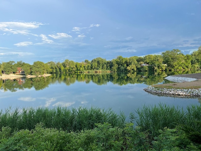 423 Mallard Pt, Danville, IL 61832 - water view